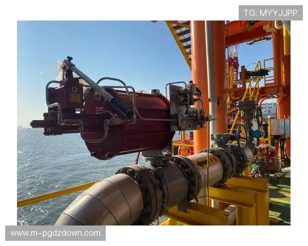 PG国际体育技术支持:平台稳定性提升与用户操作便捷性优化措施 PG国际体育技术支持:平台稳定性提升与用户操作便捷性优化措施