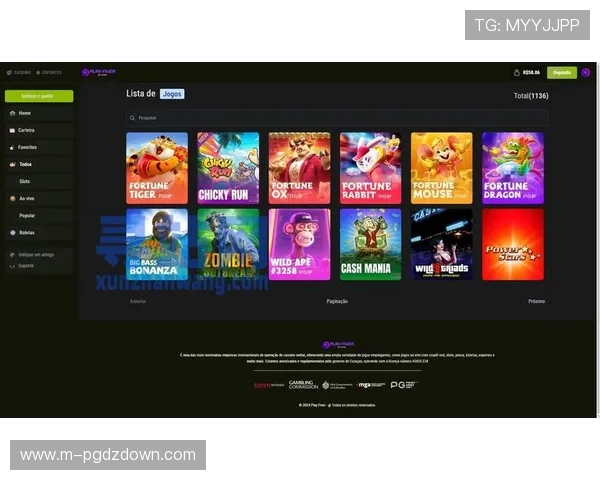 玩家必看：PG电子官网入口详细指南助你轻松进入安全可靠的线上游戏平台