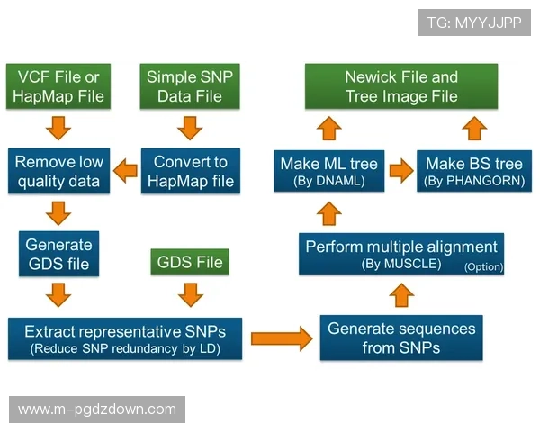 详细介绍pg平台注册游戏账号的完整流程与操作指南