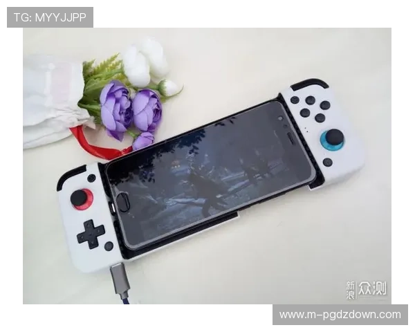PG官方下载安装步骤详解，提供完整操作流程和常见问题排查技巧助你轻松畅玩游戏