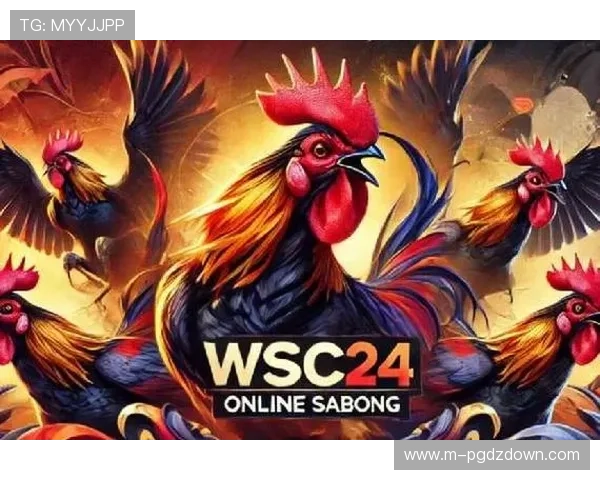PG官网电脑版入口官方入口最新版本，确保玩家体验流畅不卡顿的游戏环境